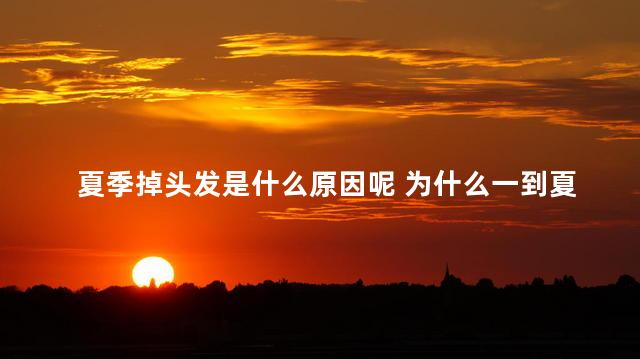 夏季掉头发是什么原因呢 为什么一到夏天就开始掉头发